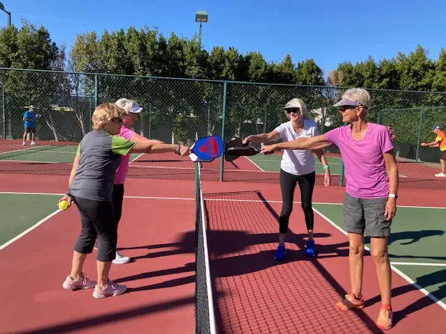 best pickleball paddle